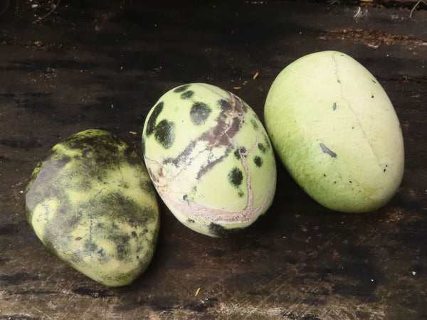 Polished Spotted Leopard Stone Gallets  x 6 From Zimbabwe