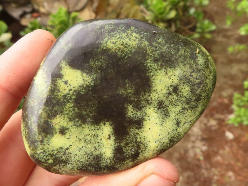 Polished Spotted Leopard Stone Gallets x 6 From Zimbabwe