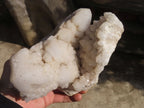 Natural Castle Quartz Cluster x 1 From Ivato, Madagascar - Toprock Gemstones and Minerals 