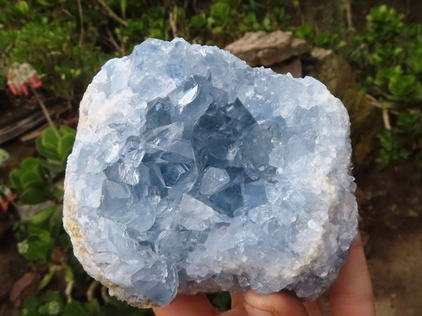 Natural Blue Celestite Crystal Specimens  x 2 From Sakoany, Madagascar