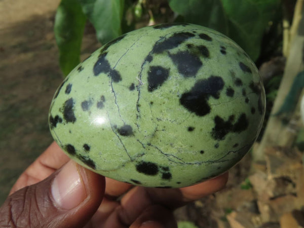 Polished Leopard Stone Gallets Selected Spotted Patterns x 12 From Zimbabwe - TopRock
