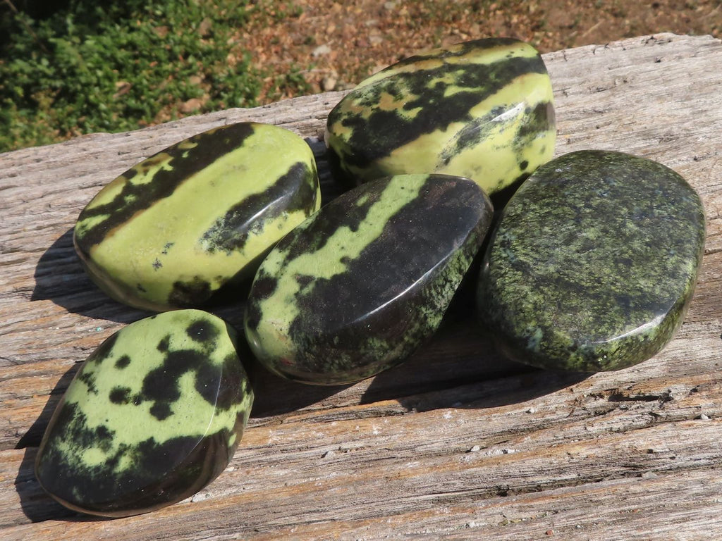 Polished Leopard Stone / Serpentine Free Forms  x 5 From Zimbabwe - TopRock