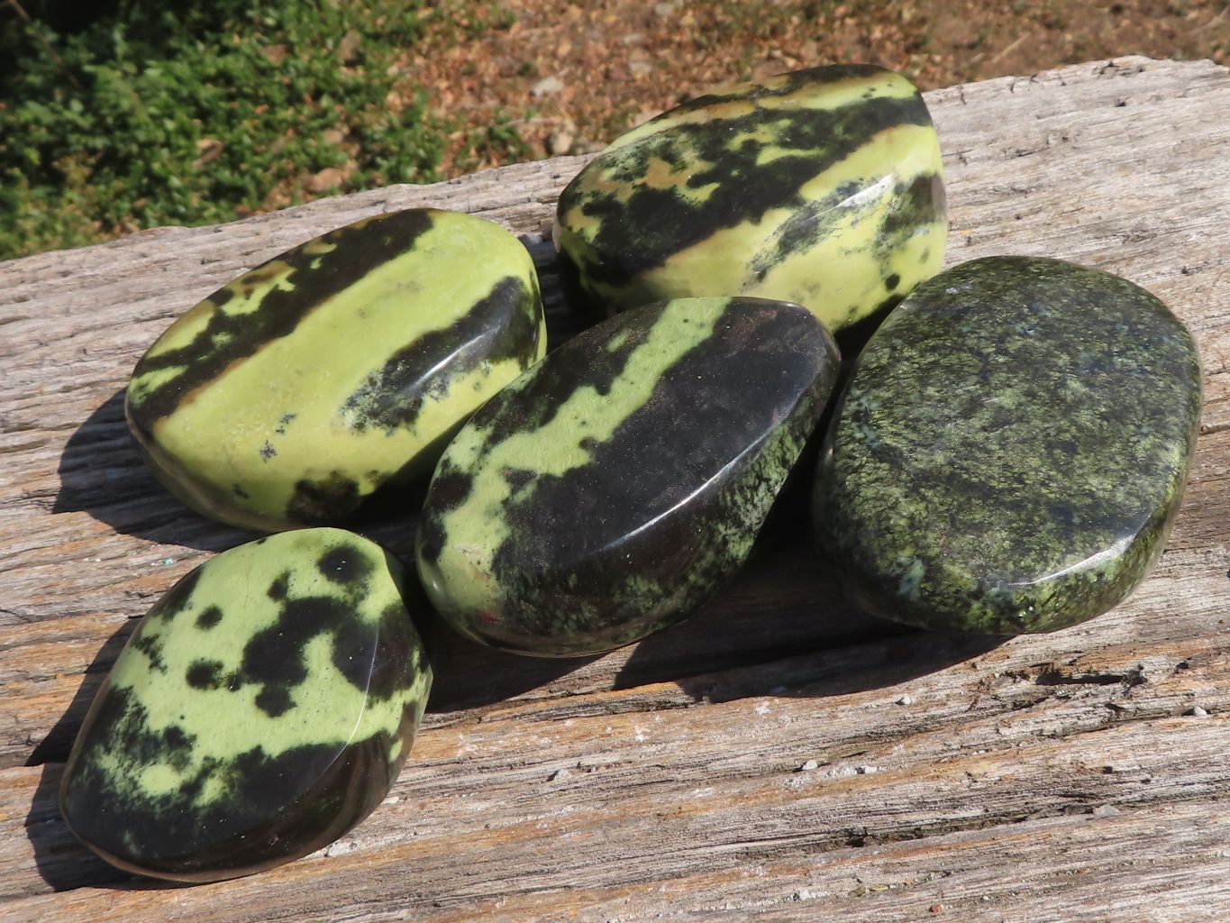 Polished Leopard Stone / Serpentine Free Forms  x 5 From Zimbabwe - TopRock
