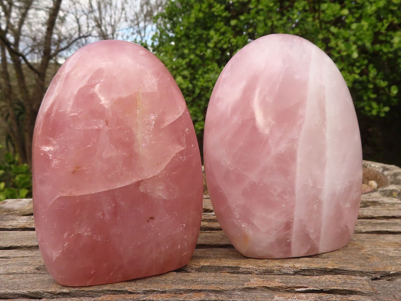 Polished Gemmy Pink Rose Quartz Standing Free Forms x 2 From Madagascar - Toprock Gemstones and Minerals 