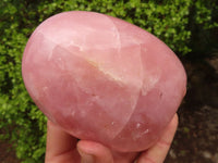 Polished Gemmy Pink Rose Quartz Standing Free Forms x 2 From Madagascar - Toprock Gemstones and Minerals 