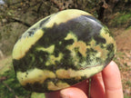 Polished Leopard Stone / Serpentine Free Forms  x 5 From Zimbabwe - TopRock