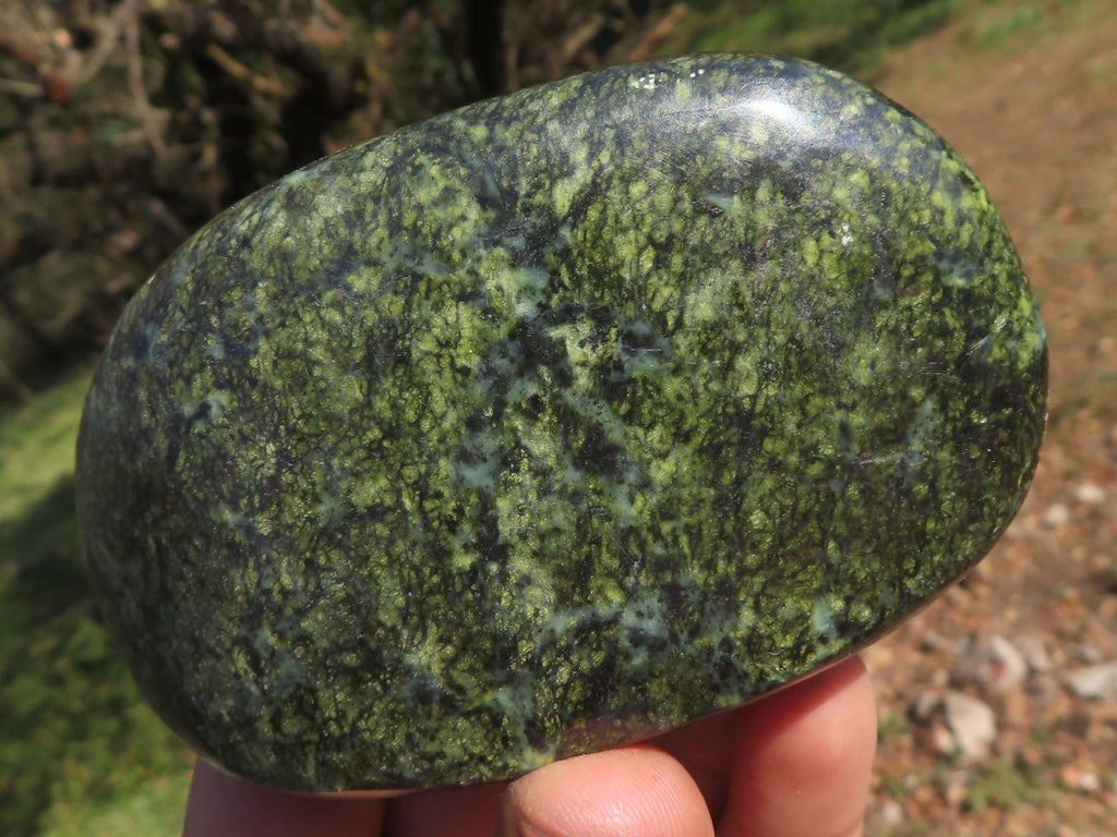 Polished Leopard Stone / Serpentine Free Forms  x 5 From Zimbabwe - TopRock