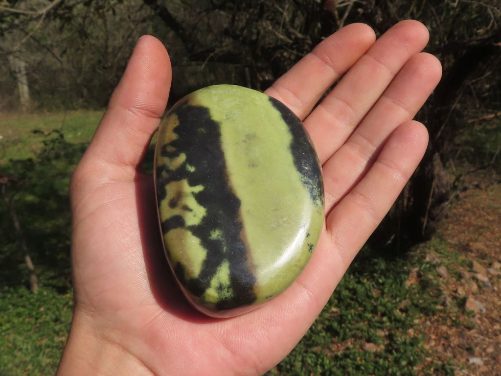 Polished Leopard Stone / Serpentine Free Forms  x 5 From Zimbabwe - TopRock