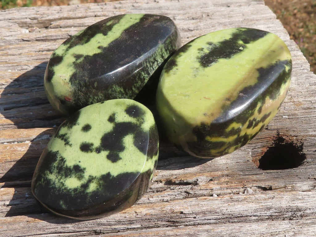 Polished Leopard Stone / Serpentine Free Forms  x 5 From Zimbabwe - TopRock
