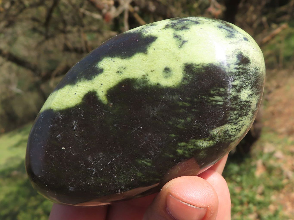 Polished Leopard Stone / Serpentine Free Forms  x 5 From Zimbabwe - TopRock