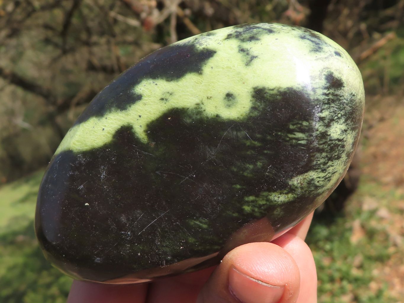 Polished Leopard Stone / Serpentine Free Forms  x 5 From Zimbabwe - TopRock