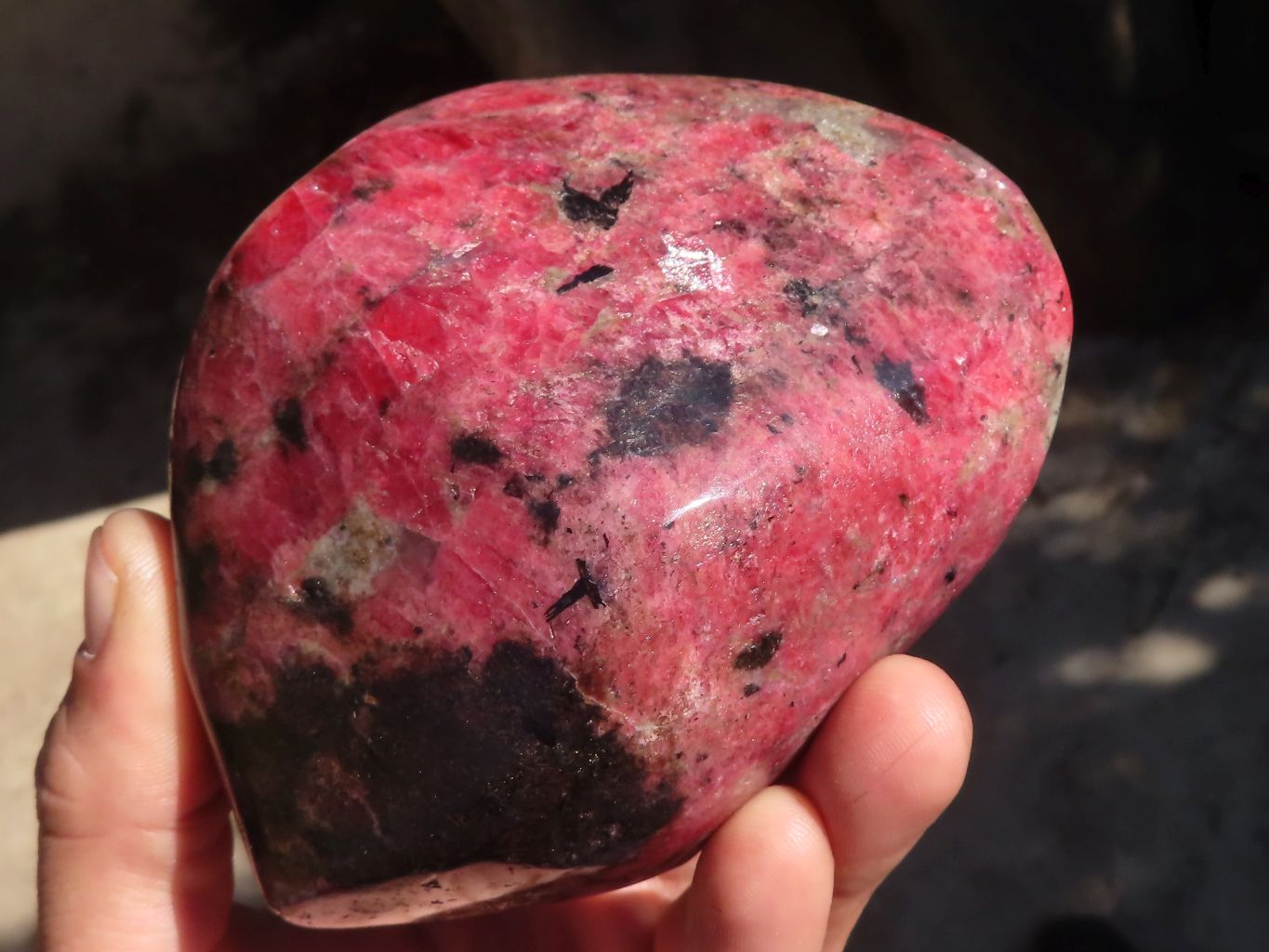 Polished Red Rhodonite Standing Free Form x 1 From Zimbabwe - Toprock Gemstones and Minerals 
