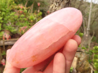 Polished Gemmy Pink Rose Quartz Standing Free Forms x 2 From Madagascar - Toprock Gemstones and Minerals 