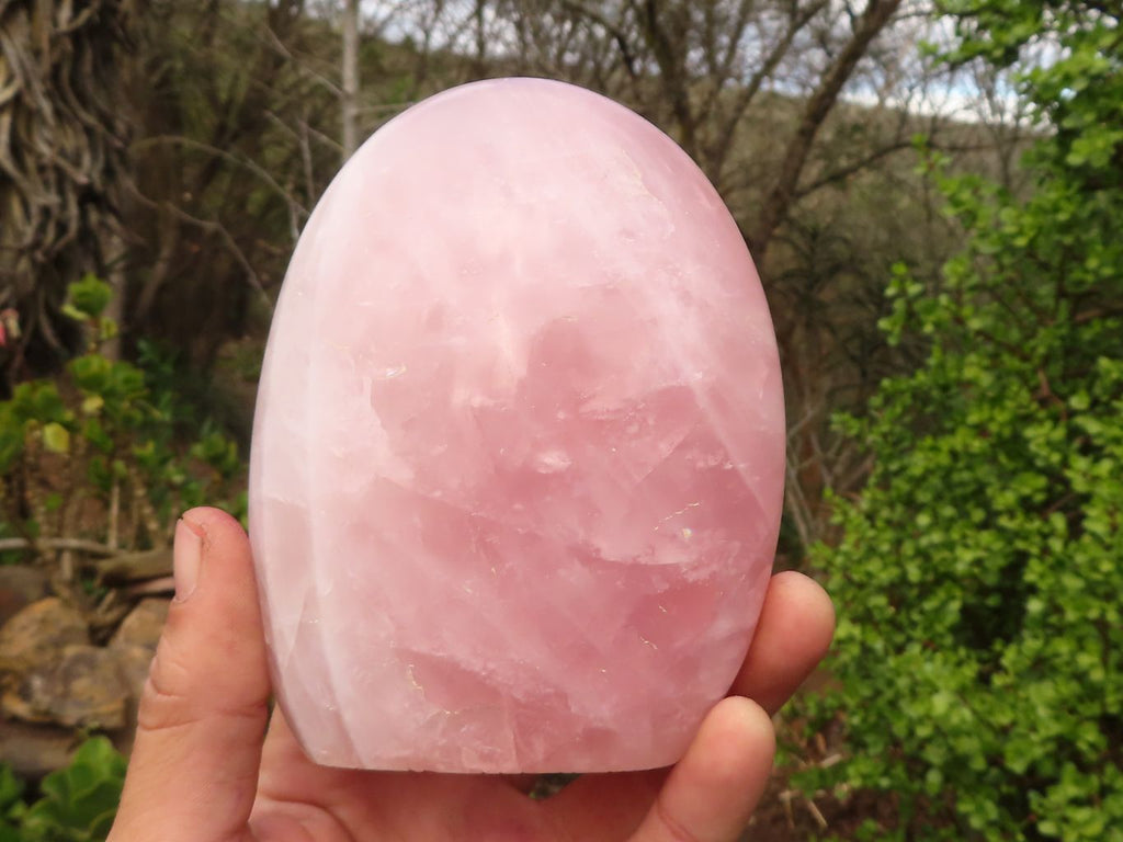Polished Gemmy Pink Rose Quartz Standing Free Forms x 2 From Madagascar - Toprock Gemstones and Minerals 