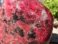 Polished Red Rhodonite Standing Free Form x 1 From Zimbabwe - Toprock Gemstones and Minerals 