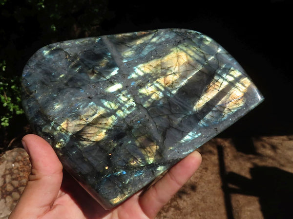 Natural Extra Large Purple Flash Labradorite Standing Free Form  x 1 From Tulear, Madagascar - Toprock Gemstones and Minerals 