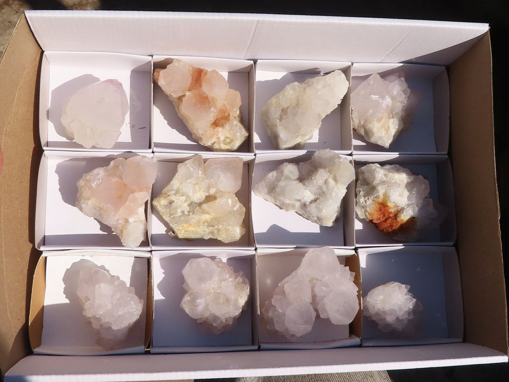 Natural White Cactus Flower Spirit Quartz Specimens x 12 From Boekenhouthoek, South Africa - Toprock Gemstones and Minerals 