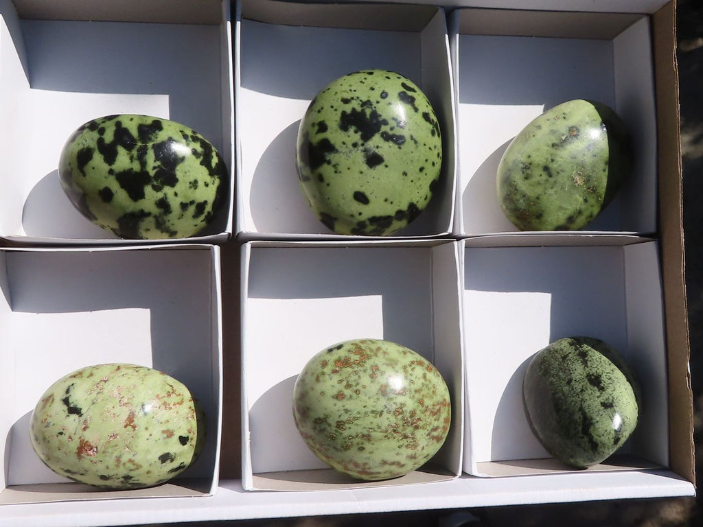 Polished Leopard Stone Palm Stones  x 6 From Zimbabwe - Toprock Gemstones and Minerals 