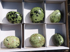Polished Leopard Stone Palm Stones  x 6 From Zimbabwe - Toprock Gemstones and Minerals 
