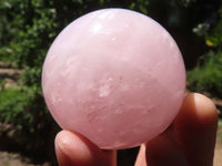 Polished  Star Rose Quartz Spheres x 4 From Ambatondrazaka, Madagascar - TopRock