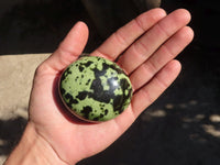 Polished Leopard Stone Palm Stones  x 6 From Zimbabwe - Toprock Gemstones and Minerals 