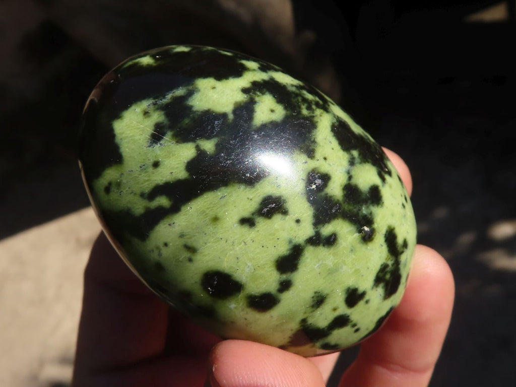 Polished Leopard Stone Palm Stones  x 6 From Zimbabwe - Toprock Gemstones and Minerals 