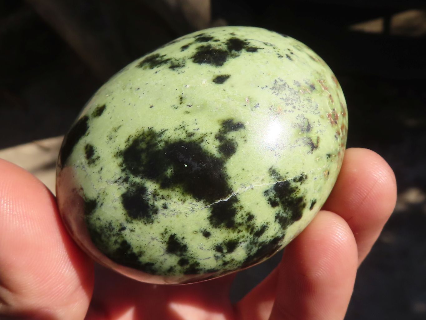 Polished Leopard Stone Palm Stones  x 6 From Zimbabwe - Toprock Gemstones and Minerals 