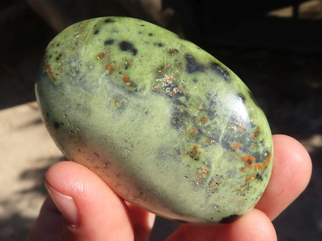 Polished Leopard Stone Palm Stones  x 6 From Zimbabwe - Toprock Gemstones and Minerals 