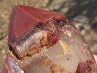 Polished Red Hematoid Phantom Quartz Specimens With Polished Terminations  x 3 From Karoi, Zimbabwe - TopRock