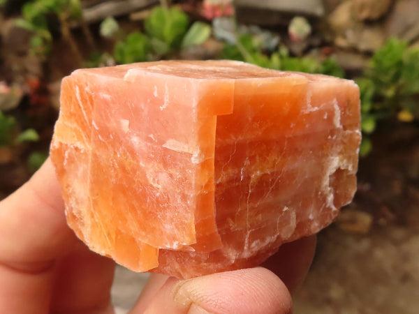 Natural New Sunset Orange Calcite Specimens  x 24 From Spitzkoppe, Namibia