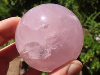 Polished  Star Rose Quartz Spheres x 4 From Ambatondrazaka, Madagascar - TopRock