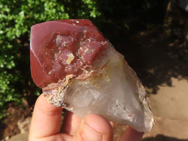 Polished Red Hematoid Quartz Specimens  x 7 From Karoi, Zimbabwe - Toprock Gemstones and Minerals 