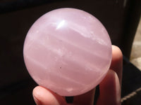Polished  Star Rose Quartz Spheres x 4 From Ambatondrazaka, Madagascar - TopRock