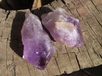 Natural Jacaranda Amethyst Crystals x 12 From Mumbwa, Zambia - Toprock Gemstones and Minerals 