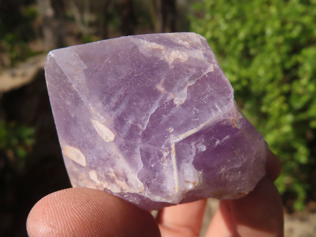 Natural Jacaranda Amethyst Crystals x 12 From Mumbwa, Zambia - Toprock Gemstones and Minerals 