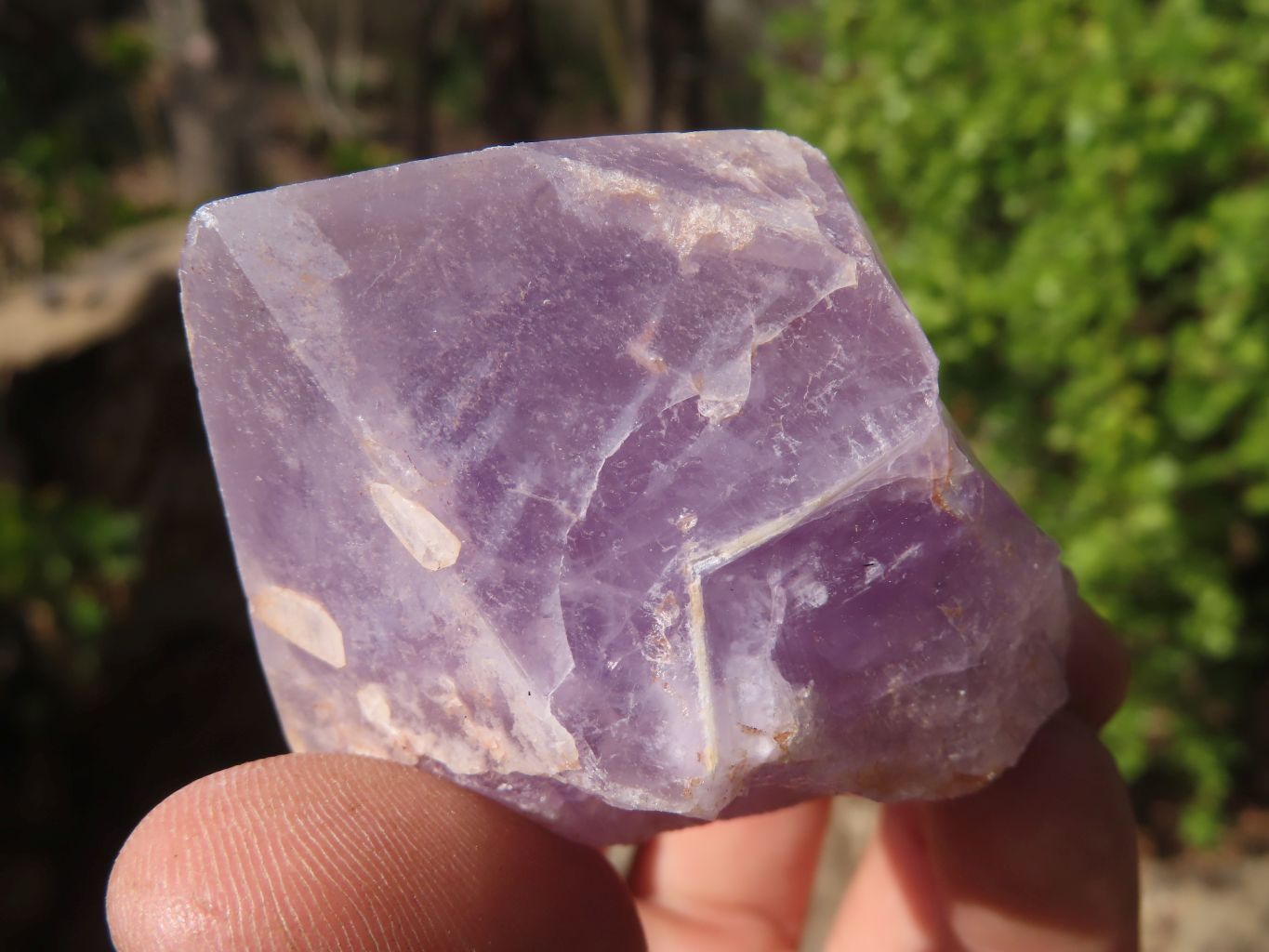 Natural Jacaranda Amethyst Crystals x 12 From Mumbwa, Zambia - Toprock Gemstones and Minerals 