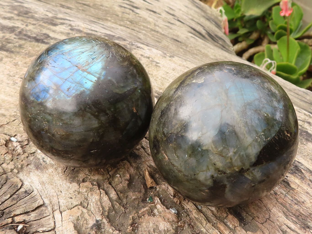 Polished Large Labradorite Spheres  x 2 From Tulear, Madagascar - Toprock Gemstones and Minerals 