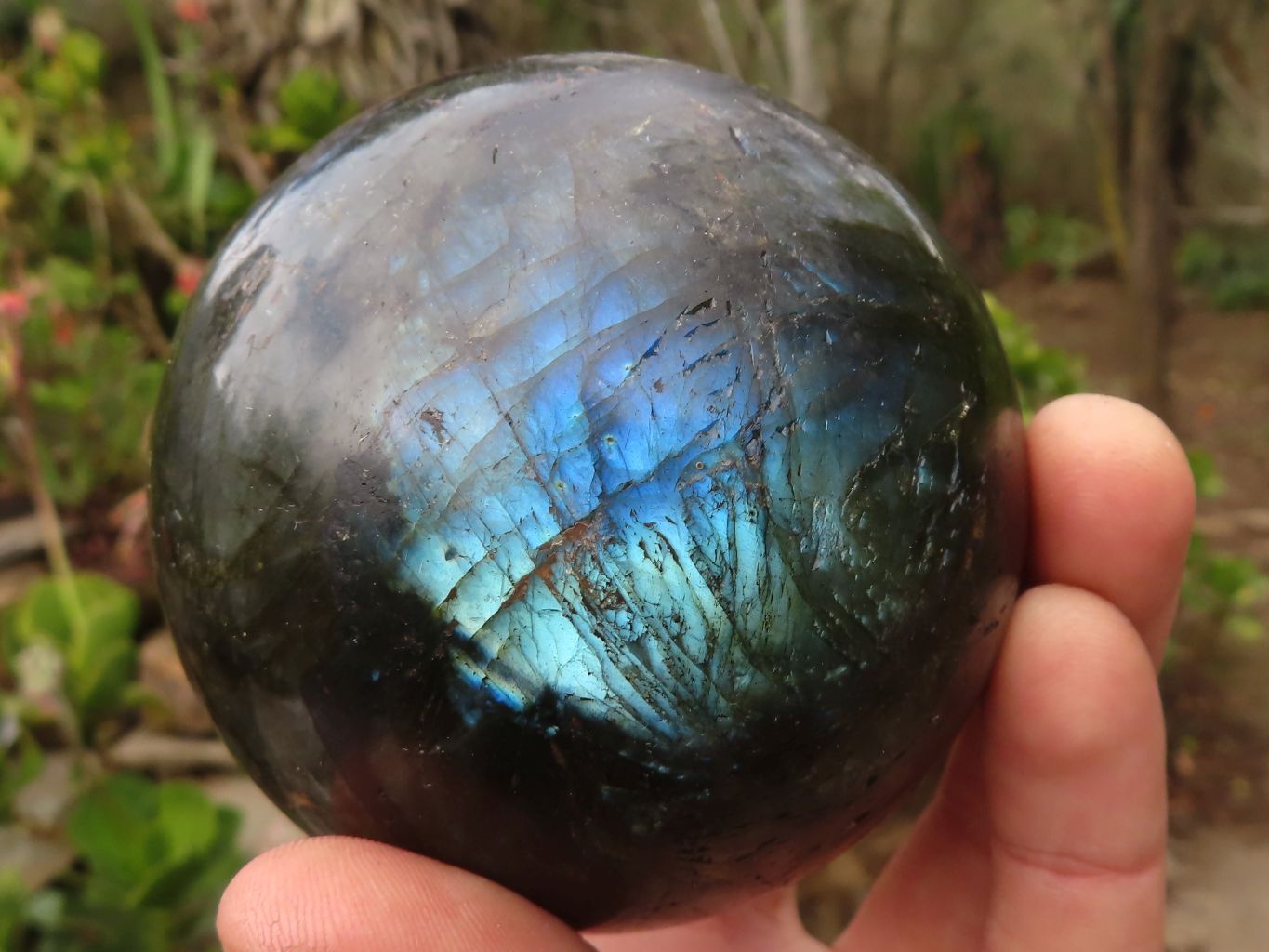 Polished Large Labradorite Spheres  x 2 From Tulear, Madagascar - Toprock Gemstones and Minerals 
