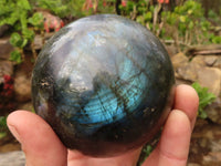 Polished Large Labradorite Spheres  x 2 From Tulear, Madagascar - Toprock Gemstones and Minerals 