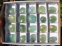 Polished Emerald Fluorite Palm Stones  x 20 From Mandrosonoro, Madagascar