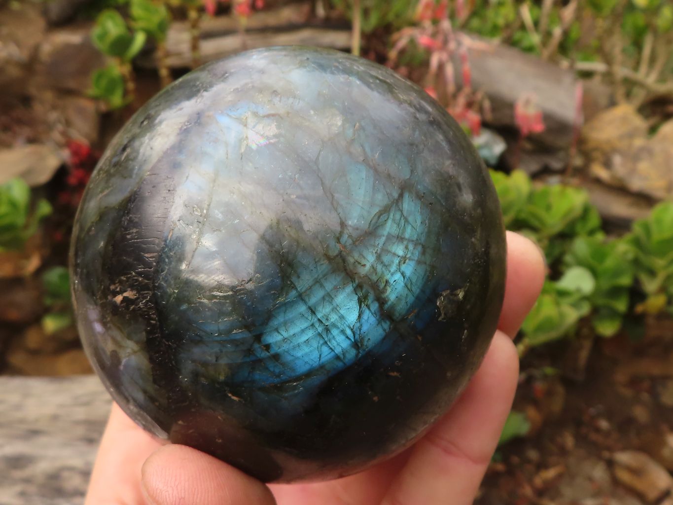 Polished Large Labradorite Spheres  x 2 From Tulear, Madagascar - Toprock Gemstones and Minerals 