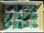 Natural Chatoyant Silky Malachite Specimens  x 12 From Kasompe, Congo - Toprock Gemstones and Minerals 