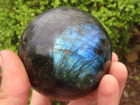 Polished Large Labradorite Spheres  x 2 From Tulear, Madagascar - Toprock Gemstones and Minerals 