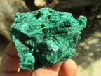 Natural Chatoyant Silky Malachite Specimens  x 12 From Kasompe, Congo - Toprock Gemstones and Minerals 