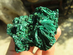 Natural Chatoyant Silky Malachite Specimens  x 12 From Kasompe, Congo - Toprock Gemstones and Minerals 