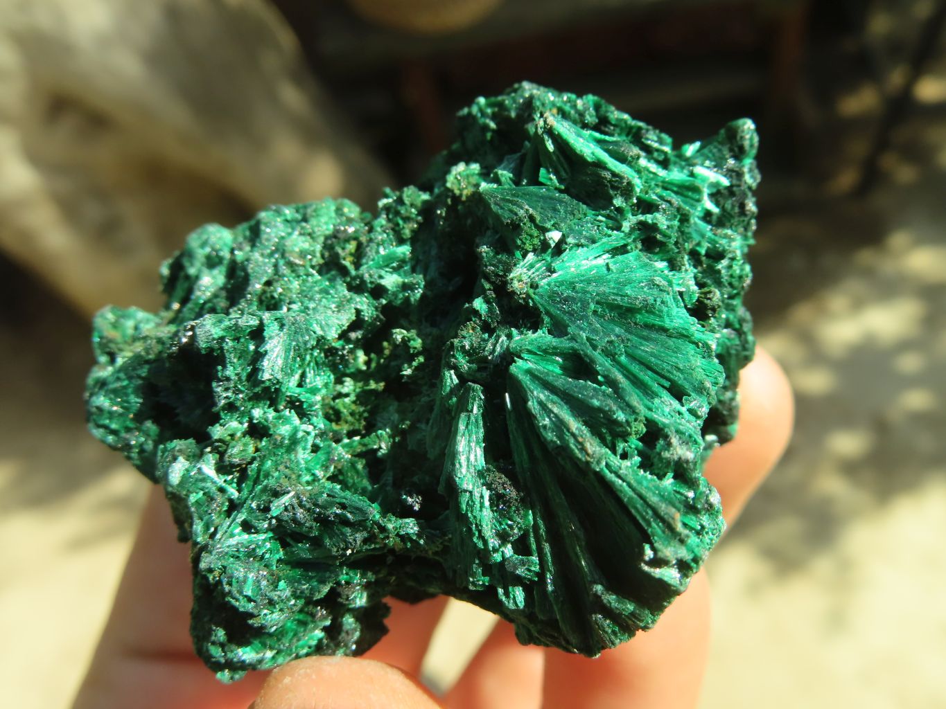 Natural Chatoyant Silky Malachite Specimens  x 12 From Kasompe, Congo - Toprock Gemstones and Minerals 