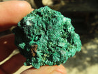 Natural Chatoyant Silky Malachite Specimens  x 12 From Kasompe, Congo - Toprock Gemstones and Minerals 