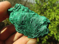 Natural Chatoyant Silky Malachite Specimens  x 12 From Kasompe, Congo - Toprock Gemstones and Minerals 