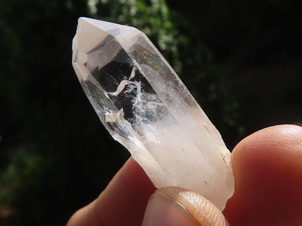 Natural Single Clear Quartz Crystals  x 1.9 Kg Lot From Zimbabwe