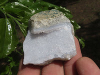 Natural Blue Lace Agate Geode Specimens  x 15 From Malawi - TopRock
